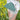Blue Emerald Cloud Purse