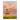 The Miscarriage